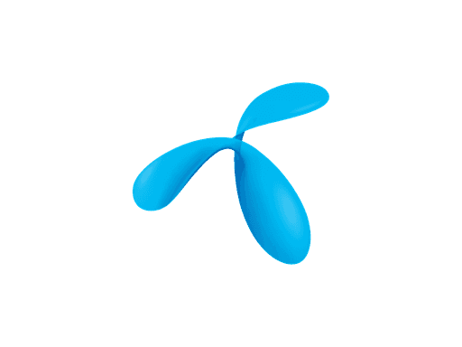 Partner 18